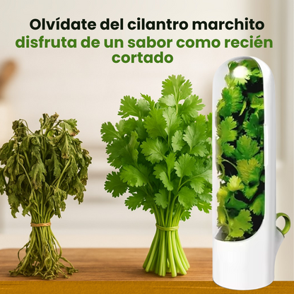 Contenedor para mantener las hierbas frescas en la nevera