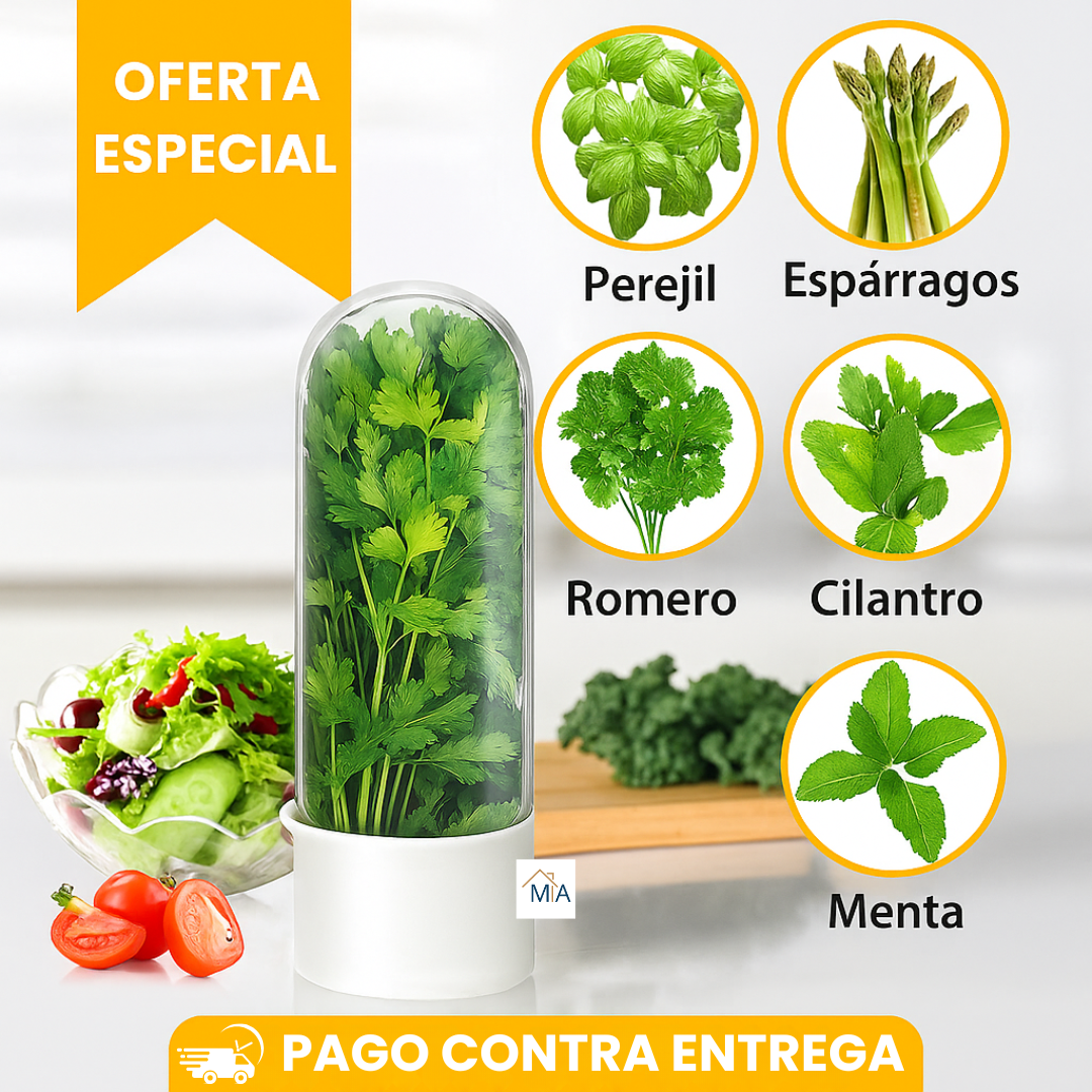 Contenedor para mantener las hierbas frescas en la nevera