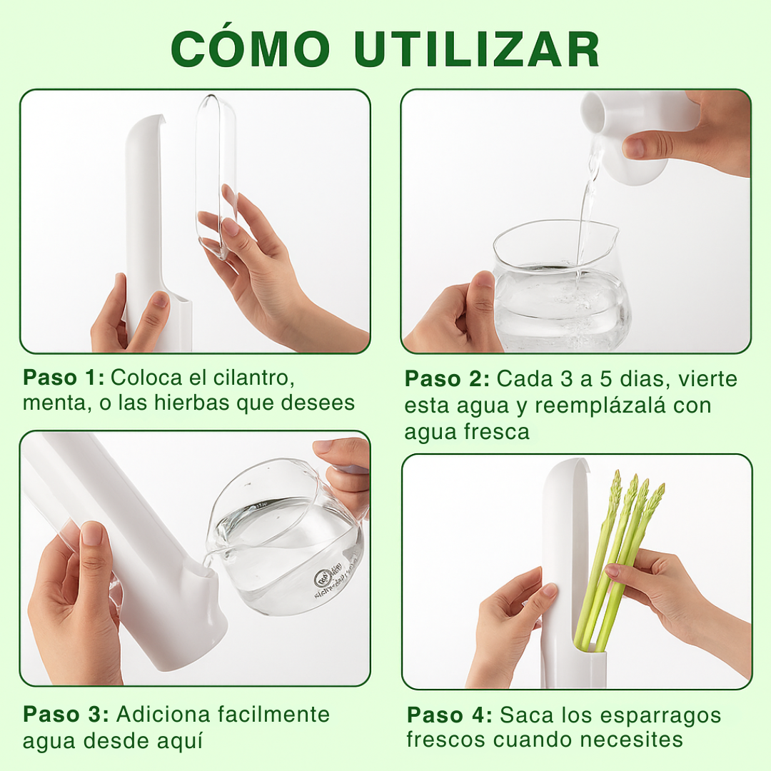 Contenedor para mantener las hierbas frescas en la nevera