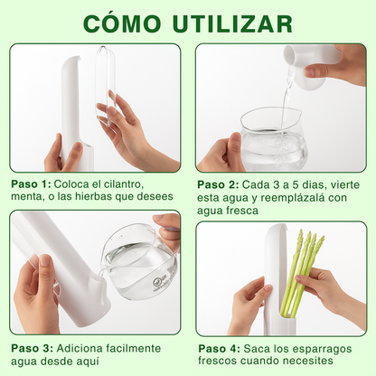 Contenedor para mantener las hierbas frescas en la nevera