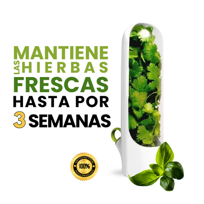 Contenedor para mantener las hierbas frescas en la nevera