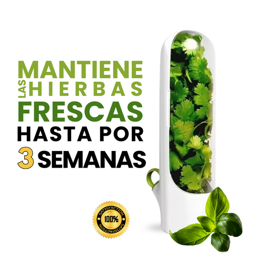 Contenedor para mantener las hierbas frescas en la nevera